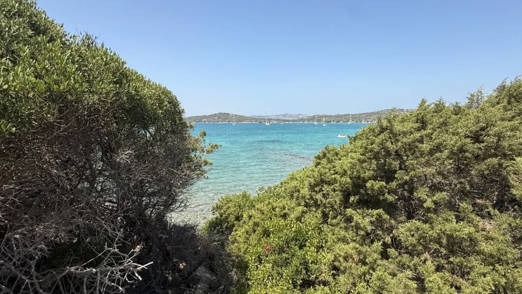 Výhľad na Spiaggia Per Cani na ostrove Caprera s tyrkysovým morom a stredomorskou vegetáciou.